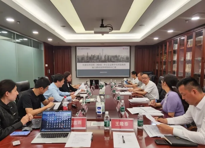 东盟与中日韩（10+3）中小企业数字化转型服务能力建设支持项目咨询项目