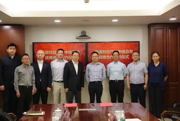 西藏自治区组建国有金融资本管理平台咨询项目